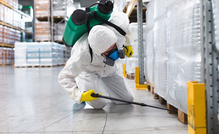 Dedetização industrial profissional